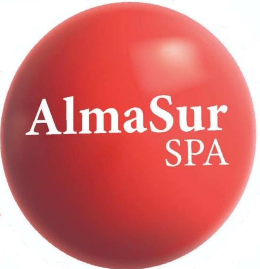 Almasur Inversiones SPA Logo